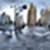 Country Images App
