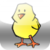 Chool Chiken