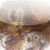 Bhagavad Gita Free
