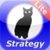 Cat Physics Strategy - Lite