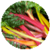 Benefits of Swiss Chard
