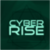 Cyber Rise: Business from scratch