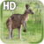 Kangaroo Australia LWP