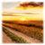 Nature Countryside Live