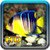 Coy Fish HD Wallpaper