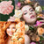 Adorable Roses Photo Collage