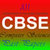 12th cbse computer science past papers