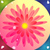 Latest Glow Flower Live Wallpapers
