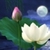 Lotus Moon LWP HD