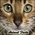 Funny Animal Facts