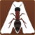Ant Road