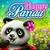 Happy Panda: Little Baby Care