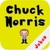 100 Chuck Noris Jokes