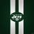 New York Jets Fan