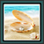 Live Wallpapers – Shell