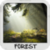 Forest Wallpapers by Nisavac Wallpapers