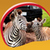 Safari Live Wallpapers