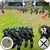 World War 3 Game