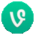 Vine for mobile