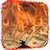 Burning Money Live Wallpaper