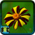 Beautiful Flower HD Wallpaper