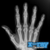 Human X Ray Scanner