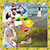 Summer Photo Collage Free