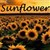 Sunflower LG G6 Theme