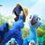 Rio 2 Live Wallpaper 4