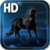 Night Horse Live Wallpaper