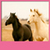 Horses Live Wallpapers New
