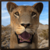 Wild Lioness Simulator