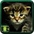 Free Wallpaper Cats Kittens