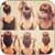 Hairstyle steps