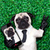 Funny Live Wallpapers