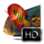 3D Living Aquarium Screensaver