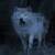 Wild Wolf Live Wallpaper Free