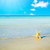 Beach Live Wallpapers