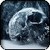 889 Skull Wallpapers