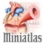 Miniatlas Cardiology