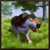 Wolf Clan Simulator