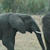 Nature Live Wallpaper 127