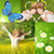 Beautiful Spring Photo Collage