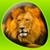 Animals 360