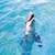 Dolphin Live Wallpaper Best