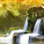 Marvelous Waterfalls Live