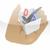 HanDBase Database Manager