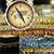 Islamic Prayer Times - Qibla compass