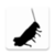 Cricket Sound