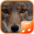 Coyote Sounds app